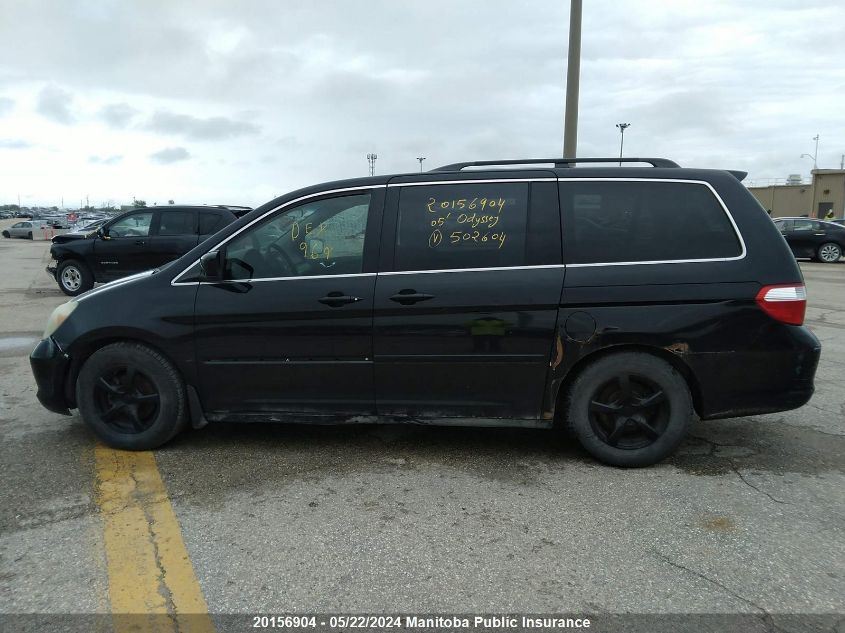 2005 Honda Odyssey Ex-L VIN: 5FNRL38675B502604 Lot: 20156904