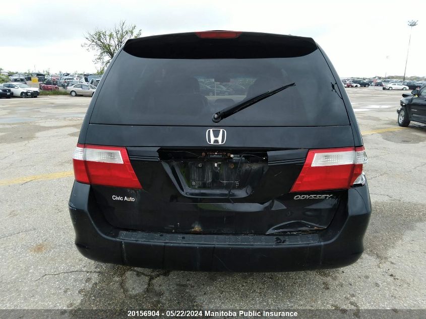 2005 Honda Odyssey Ex-L VIN: 5FNRL38675B502604 Lot: 20156904