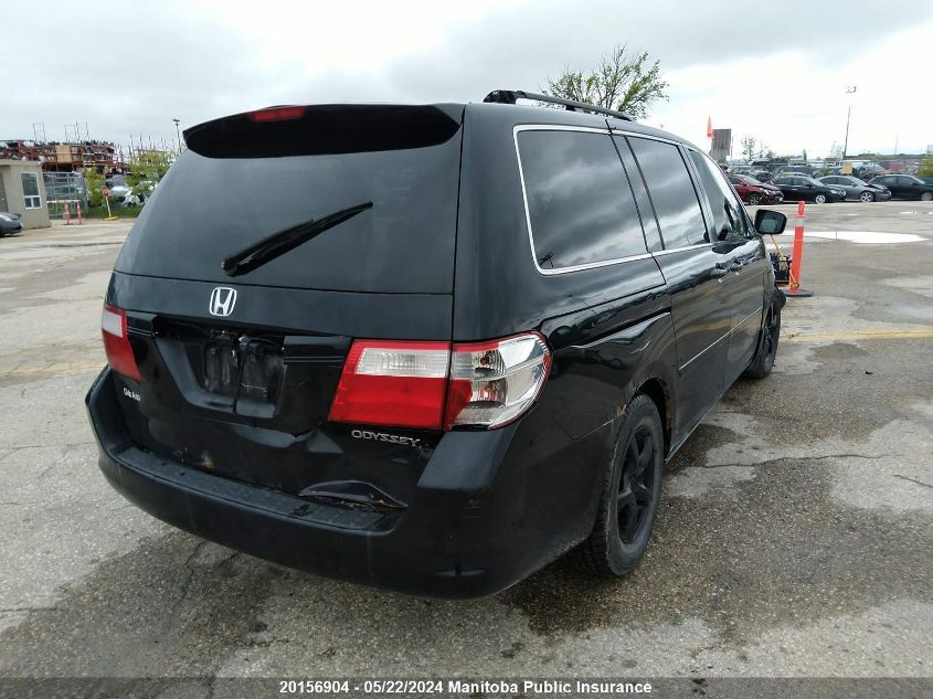 2005 Honda Odyssey Ex-L VIN: 5FNRL38675B502604 Lot: 20156904