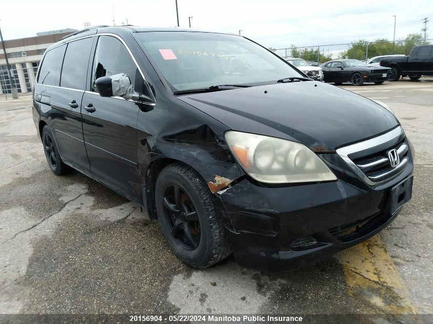 2005 Honda Odyssey Ex-L VIN: 5FNRL38675B502604 Lot: 20156904