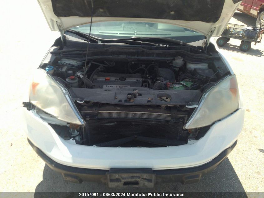 2008 Honda Cr-V Ex VIN: 5J6RE38328L800666 Lot: 20157091