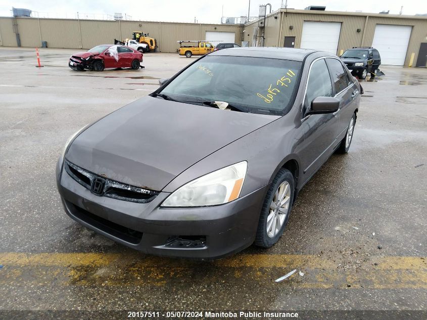 2007 Honda Accord Se-V6 VIN: 1HGCM66367A801351 Lot: 20157511