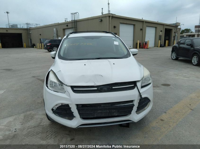 2014 Ford Escape Se VIN: 1FMCU0GX4EUA79785 Lot: 20157520