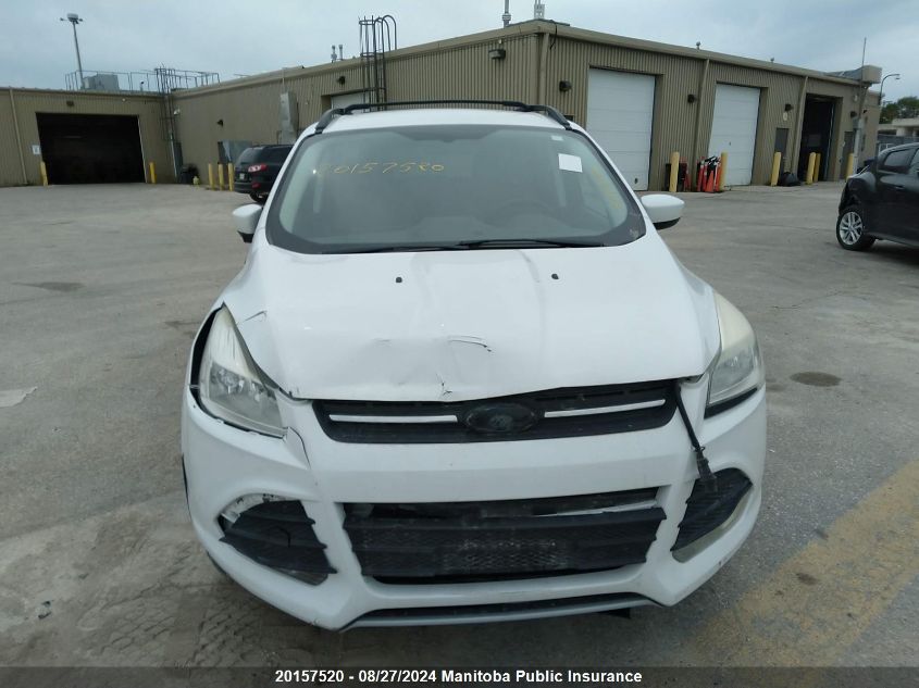 2014 Ford Escape Se VIN: 1FMCU0GX4EUA79785 Lot: 20157520