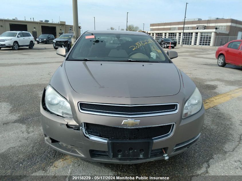 2008 Chevrolet Malibu Lt VIN: 1G1ZH57BX8F251596 Lot: 20158229