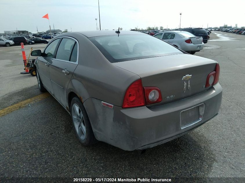 2008 Chevrolet Malibu Lt VIN: 1G1ZH57BX8F251596 Lot: 20158229