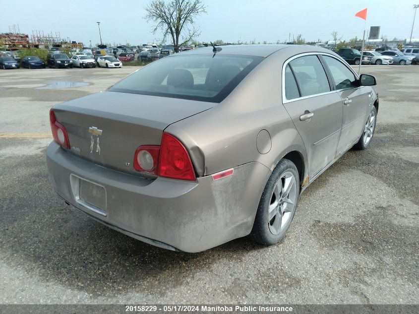 2008 Chevrolet Malibu Lt VIN: 1G1ZH57BX8F251596 Lot: 20158229