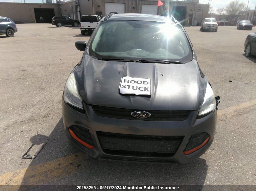 2016 Ford Escape S VIN: 1FMCU0F75GUA16120 Lot: 20158255