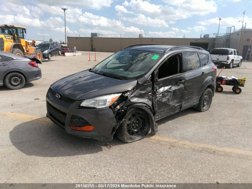 2016 Ford Escape S VIN: 1FMCU0F75GUA16120 Lot: 20158255