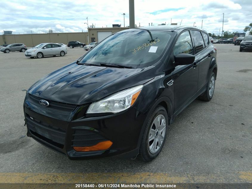 2014 Ford Escape S VIN: 1FMCU0F77EUB50317 Lot: 20158440