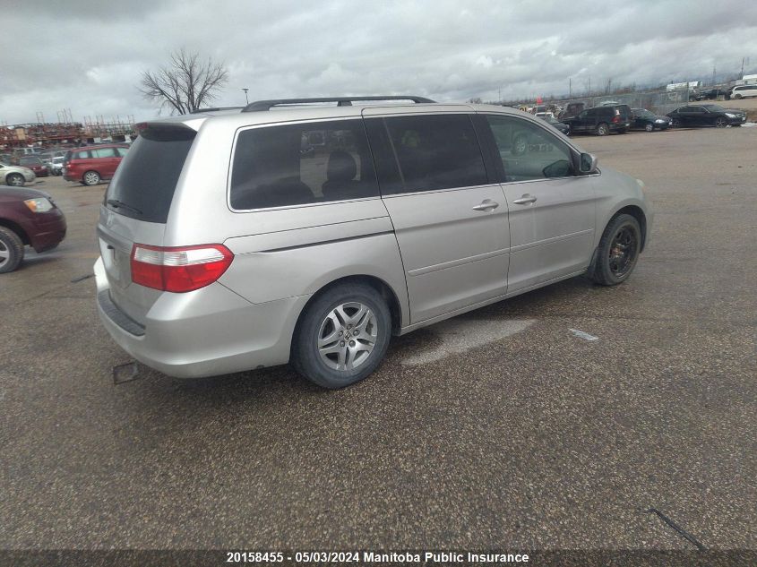 2007 Honda Odyssey Ex VIN: 5FNRL38407B501876 Lot: 20158455