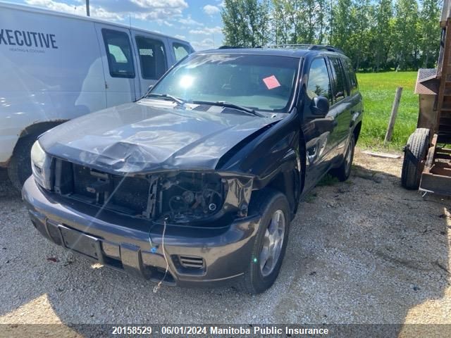 2007 Chevrolet Trailblazer Ls VIN: 1GNDT13S772241183 Lot: 20158529