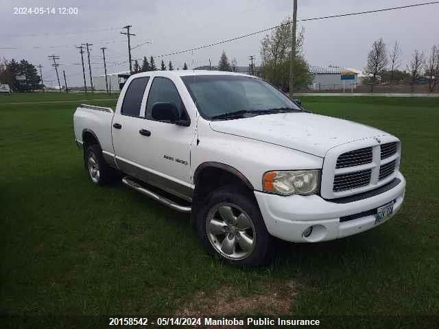 2002 Dodge Ram 1500 Quad Cab VIN: 1D7HU18Z82J222613 Lot: 20158542