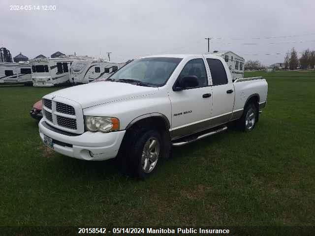 2002 Dodge Ram 1500 Quad Cab VIN: 1D7HU18Z82J222613 Lot: 20158542