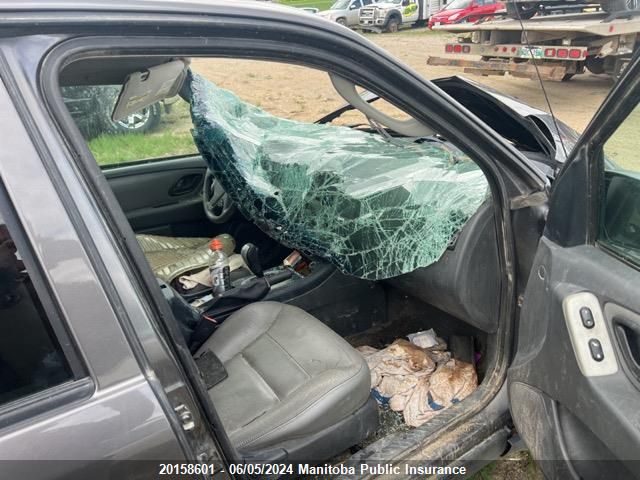 2006 Ford Escape Limited V6 VIN: 1FMYU93166KC40971 Lot: 20158601