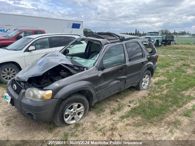 2006 Ford Escape Limited V6 VIN: 1FMYU93166KC40971 Lot: 20158601