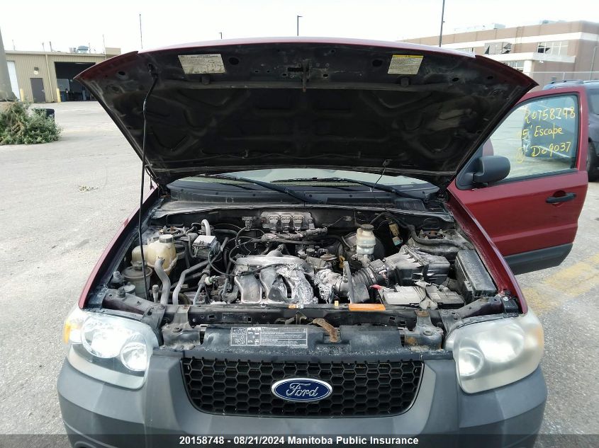 2005 Ford Escape Xlt V6 VIN: 1FMYU93105KD09037 Lot: 20158748