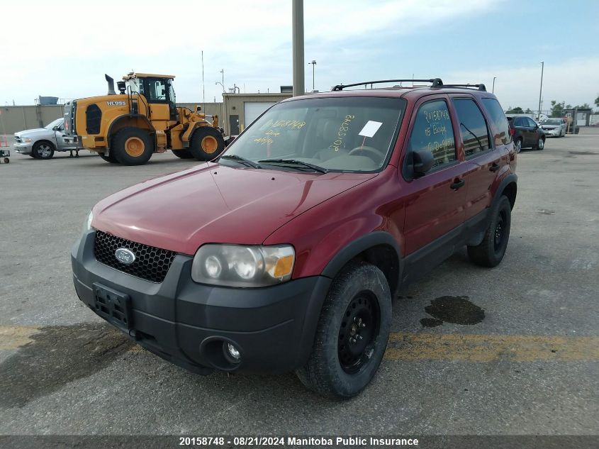 2005 Ford Escape Xlt V6 VIN: 1FMYU93105KD09037 Lot: 20158748