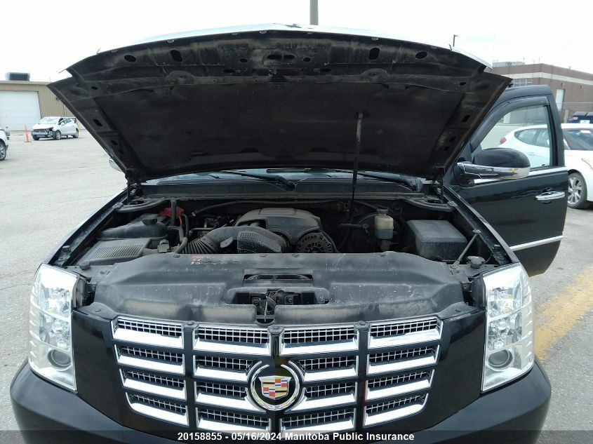 2010 Cadillac Escalade VIN: 1GYUKCEF0AR185250 Lot: 20158855