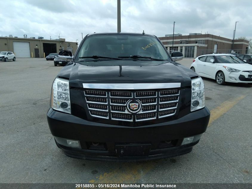 2010 Cadillac Escalade VIN: 1GYUKCEF0AR185250 Lot: 20158855