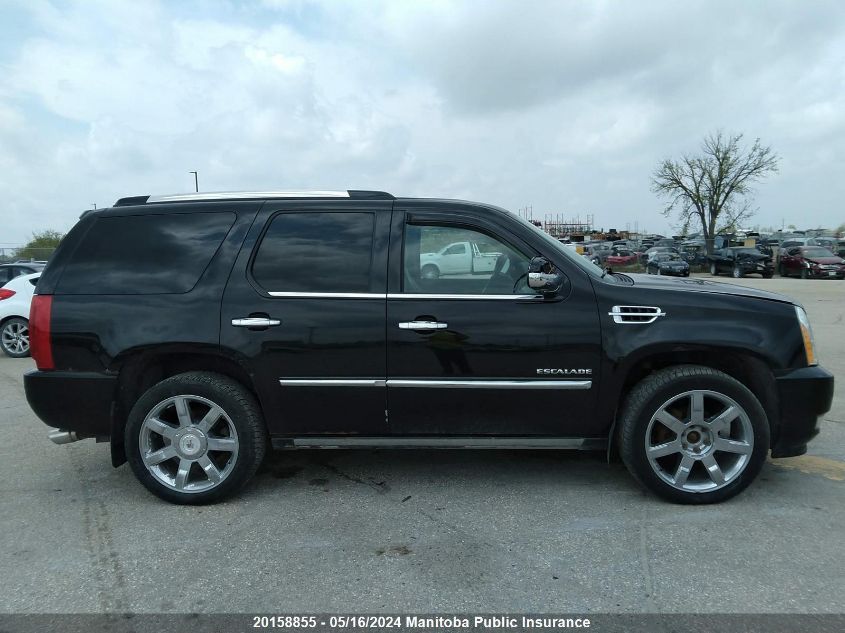 2010 Cadillac Escalade VIN: 1GYUKCEF0AR185250 Lot: 20158855