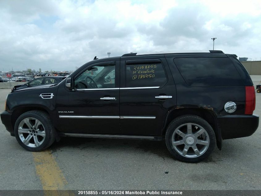 2010 Cadillac Escalade VIN: 1GYUKCEF0AR185250 Lot: 20158855