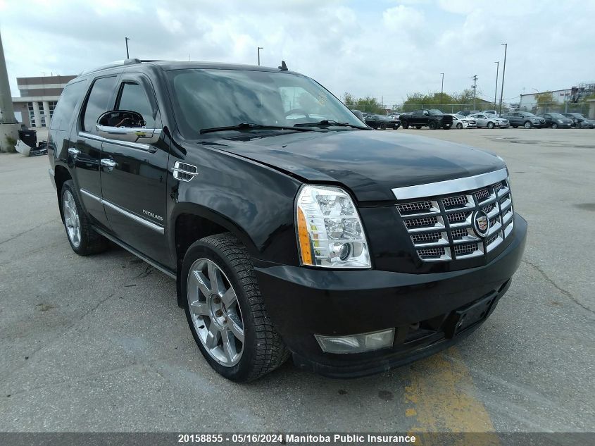 2010 Cadillac Escalade VIN: 1GYUKCEF0AR185250 Lot: 20158855