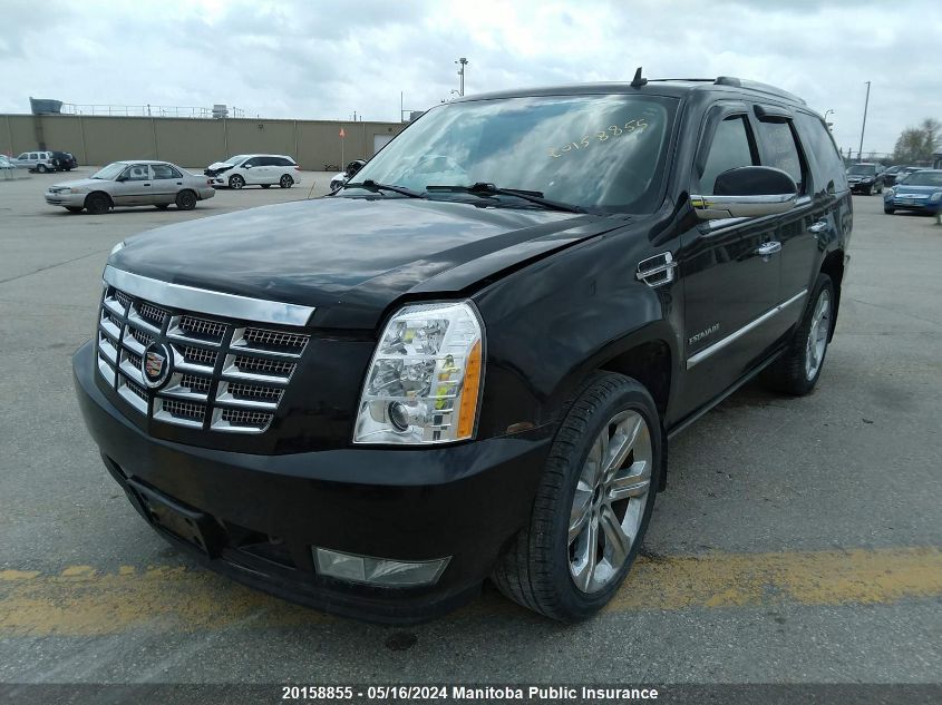 2010 Cadillac Escalade VIN: 1GYUKCEF0AR185250 Lot: 20158855