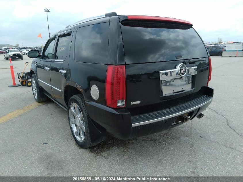 2010 Cadillac Escalade VIN: 1GYUKCEF0AR185250 Lot: 20158855