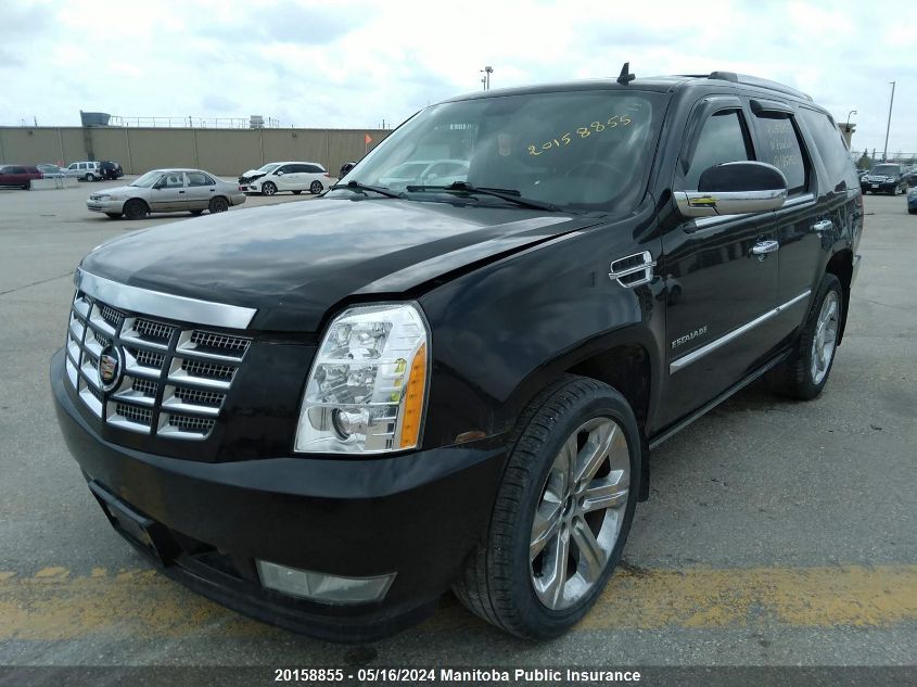 2010 Cadillac Escalade VIN: 1GYUKCEF0AR185250 Lot: 20158855