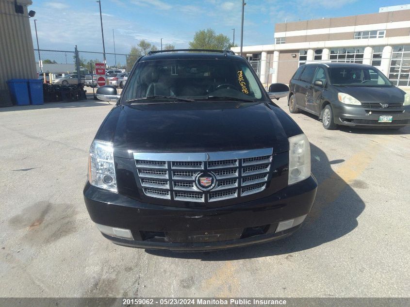 2007 Cadillac Escalade Ext VIN: 3GYFK62867G150981 Lot: 20159062