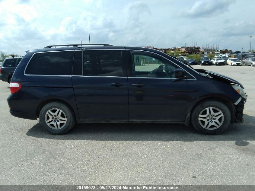 2007 Honda Odyssey Ex-L VIN: 5FNRL38667B507103 Lot: 20159073