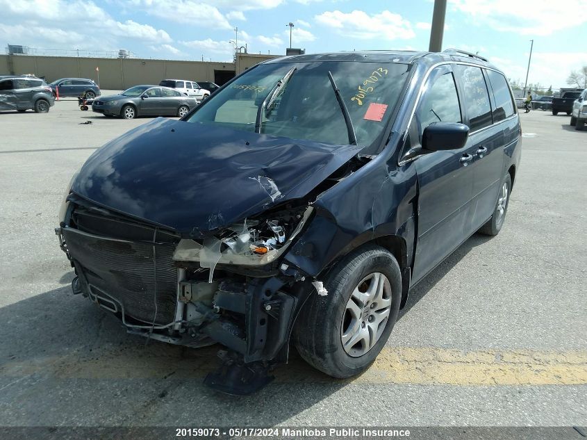 2007 Honda Odyssey Ex-L VIN: 5FNRL38667B507103 Lot: 20159073