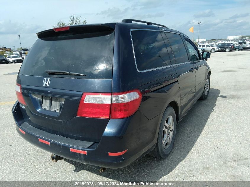 2007 Honda Odyssey Ex-L VIN: 5FNRL38667B507103 Lot: 20159073