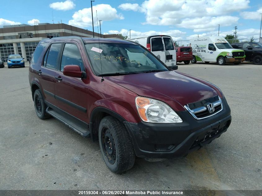 2003 Honda Cr-V VIN: JHLRD788X3C812491 Lot: 20159304