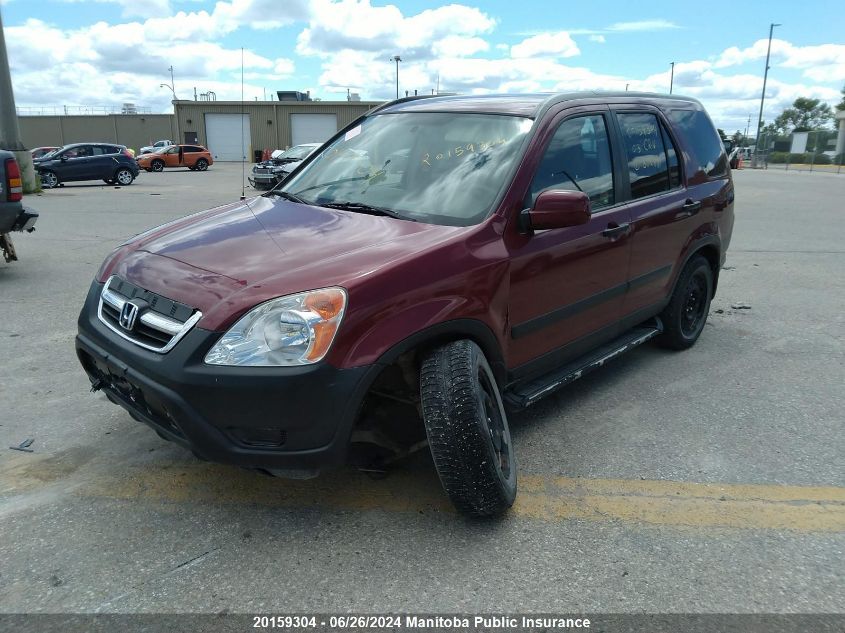 2003 Honda Cr-V VIN: JHLRD788X3C812491 Lot: 20159304