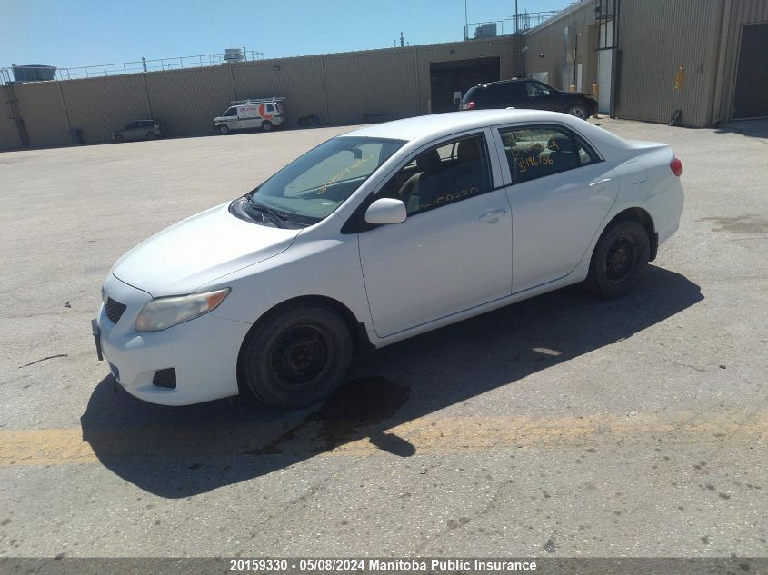 2010 Toyota Corolla Ce VIN: 2T1BU4EE6AC196736 Lot: 20159330