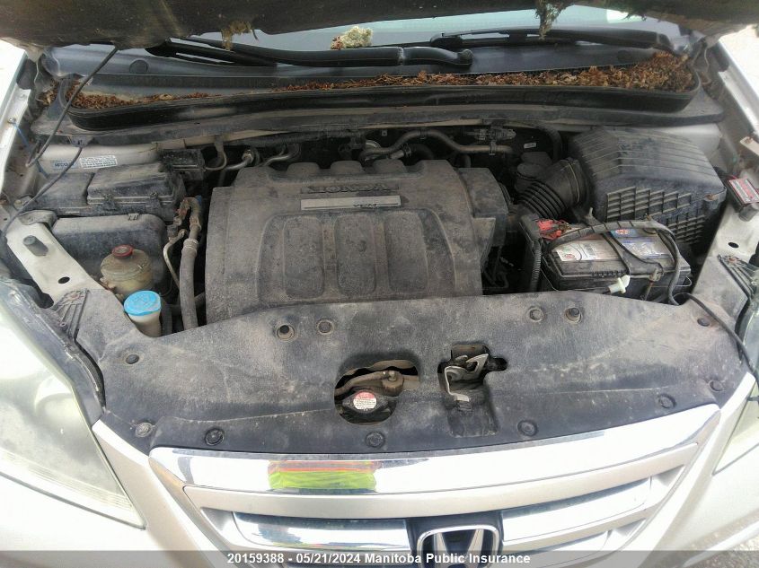 2006 Honda Odyssey Ex-L VIN: 5FNRL38706B508755 Lot: 20159388