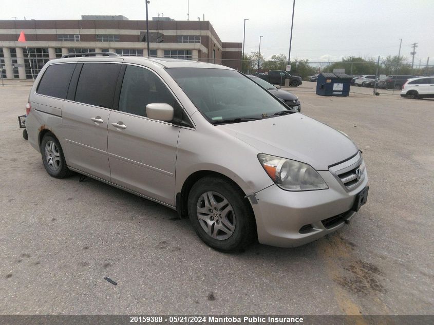 2006 Honda Odyssey Ex-L VIN: 5FNRL38706B508755 Lot: 20159388