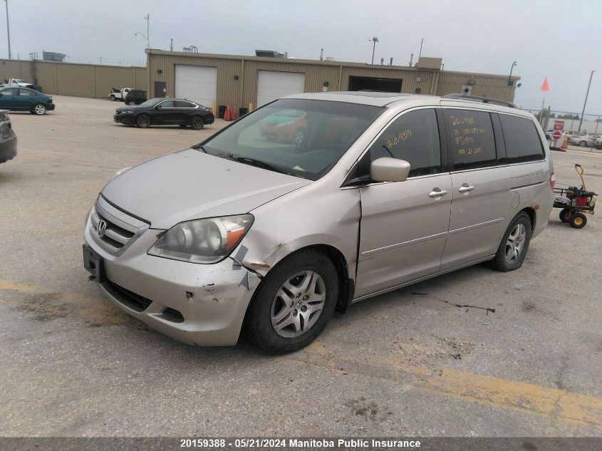 2006 Honda Odyssey Ex-L VIN: 5FNRL38706B508755 Lot: 20159388