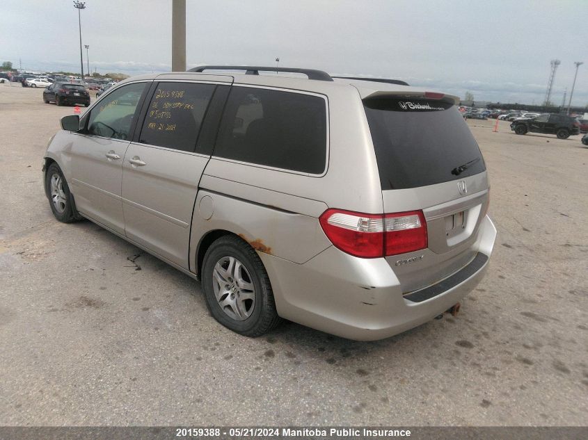 2006 Honda Odyssey Ex-L VIN: 5FNRL38706B508755 Lot: 20159388