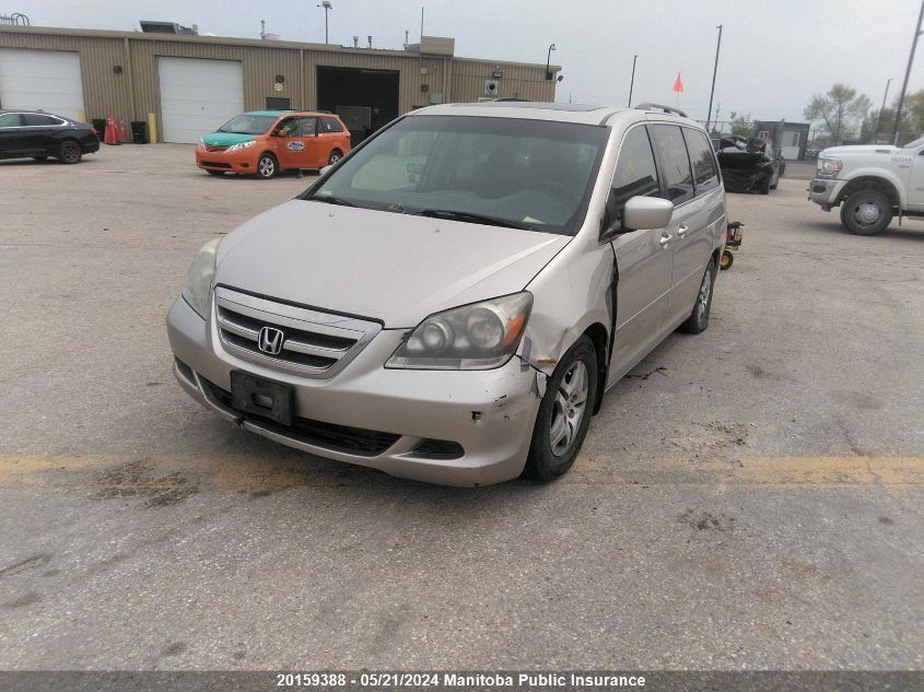 2006 Honda Odyssey Ex-L VIN: 5FNRL38706B508755 Lot: 20159388