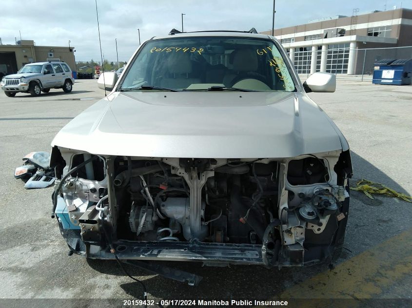 2010 Ford Escape Limited V6 VIN: 1FMCU9EG9AKD14601 Lot: 20159432