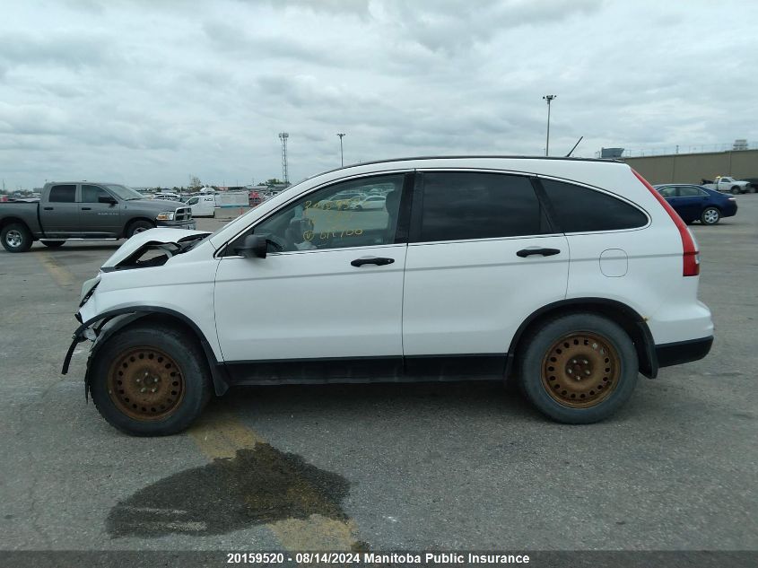 2010 Honda Cr-V Lx VIN: 5J6RE4H39AL812700 Lot: 20159520