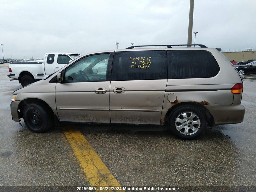 2003 Honda Odyssey Ex VIN: 2HKRL18643H013628 Lot: 20159669