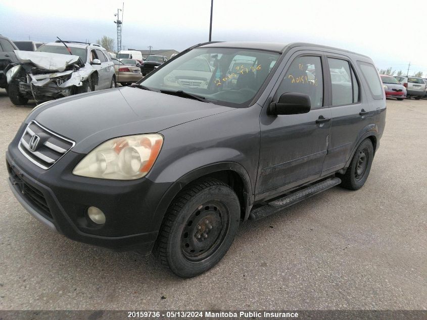 2006 Honda Cr-V Se VIN: JHLRD78506C800022 Lot: 20159736