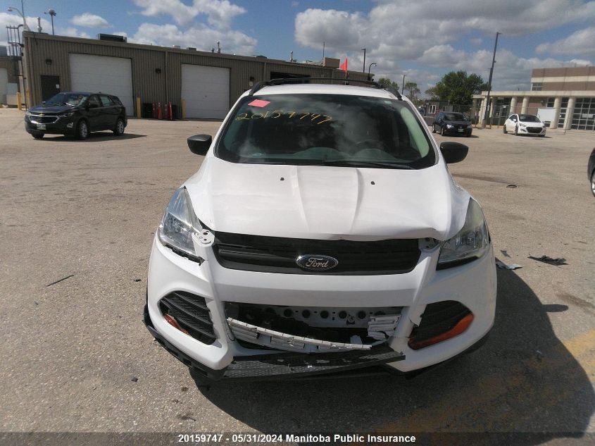 2013 Ford Escape S VIN: 1FMCU0F71DUD42900 Lot: 20159747