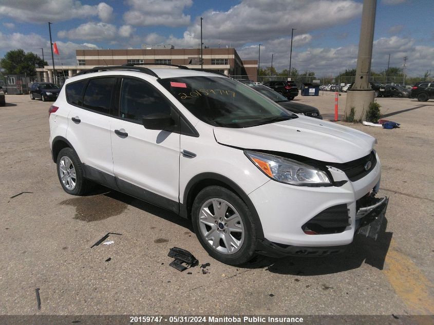 2013 Ford Escape S VIN: 1FMCU0F71DUD42900 Lot: 20159747