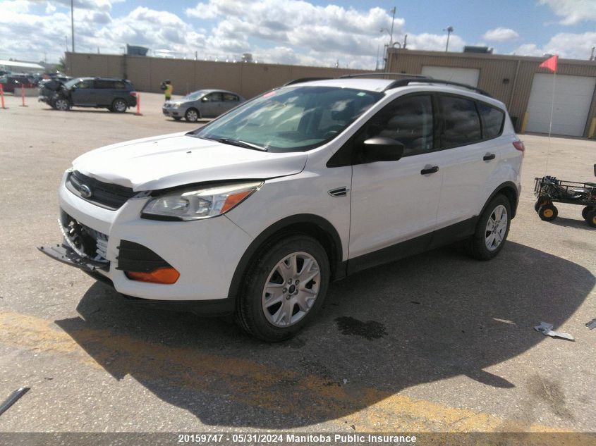 2013 Ford Escape S VIN: 1FMCU0F71DUD42900 Lot: 20159747