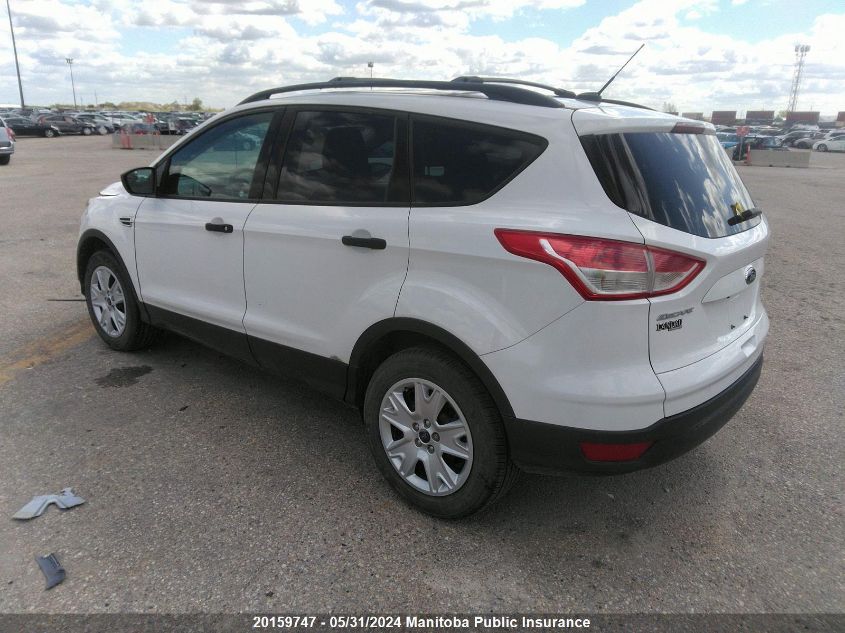 2013 Ford Escape S VIN: 1FMCU0F71DUD42900 Lot: 20159747